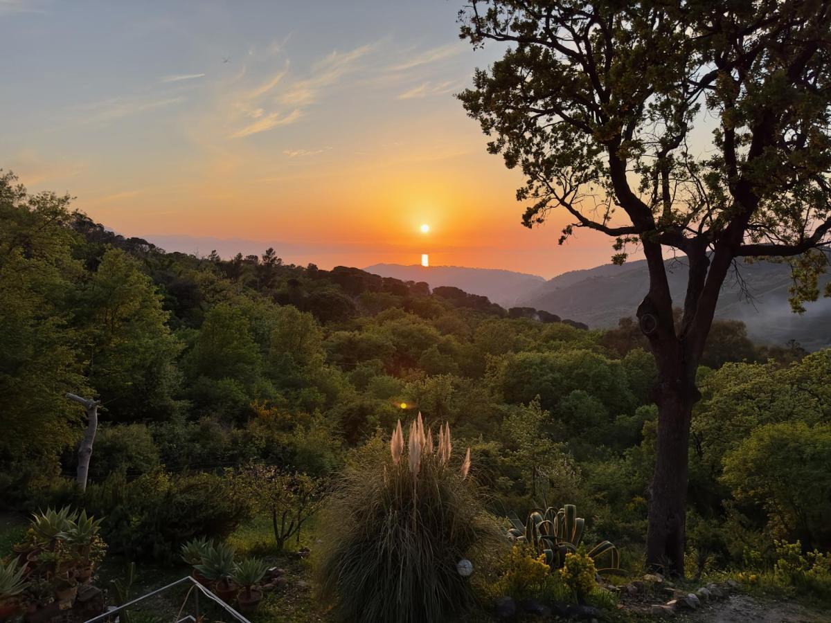 Cefalu Forest Hideout Екстериор снимка