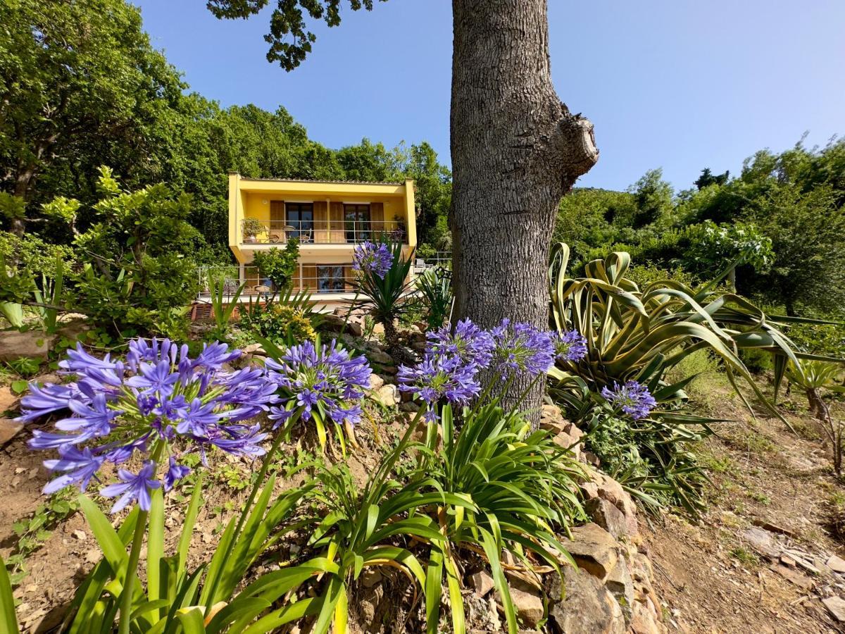 Cefalu Forest Hideout Екстериор снимка