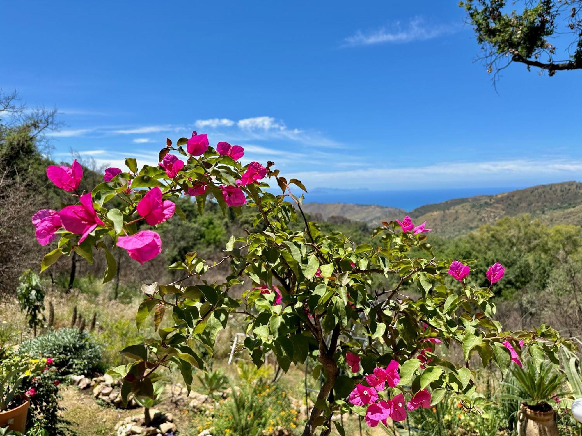 Cefalu Forest Hideout Екстериор снимка